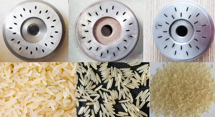 nutritional rice project